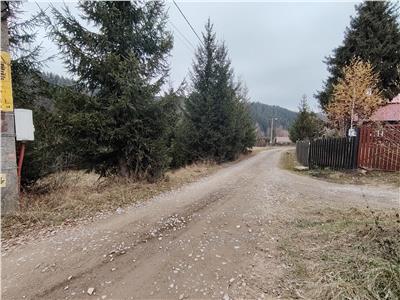 Teren intravilan Gheorgheni (str. Szarvas, zona km4)